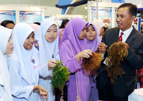 UNIVERSITI MALAYSIA SABAH