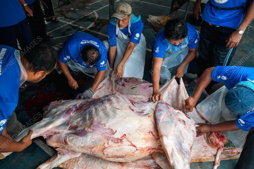 IBADAH KORBAN KAMPUNG BHARU