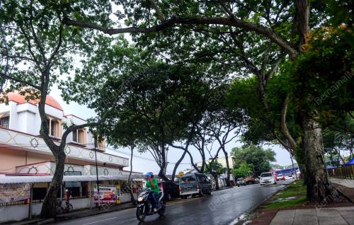 KL44_18032006_POKOK_BN201803050889