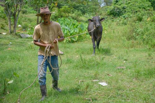 PENTERNAK LEMBU KORBAN KERESAHAN