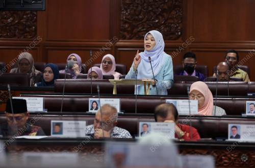 PERSIDANGAN DEWAN NEGARA