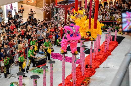 TINJAUAN TAHUN BARU CINA