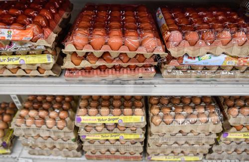 TINJAUAN SUBSIDI TELUR AYAM