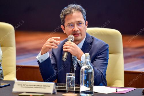 DATUK JOHAN MAHMOOD MERICAN