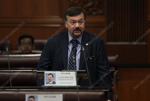 SENATOR DATUK SERI AMIR HAMZAH AZIZAN