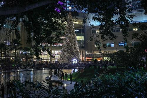 TINJAUAN KRISMAS