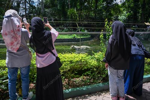 ZOO NEGARA
