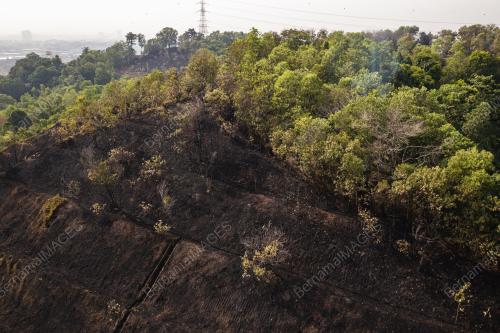KEBAKARAN HUTAN TAMAN SERI TIMAH, BALAKONG