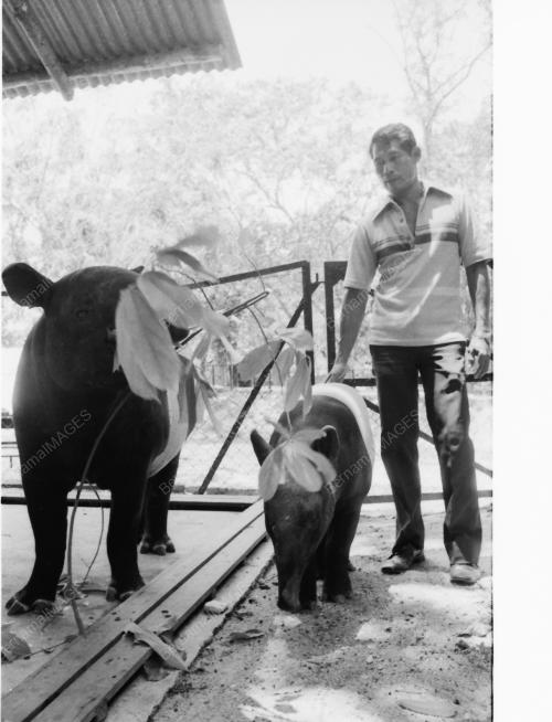 ZOO NEGARA