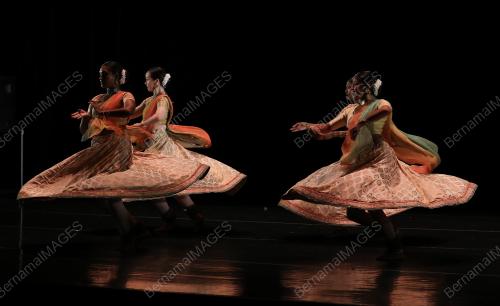 KALA VRIKSHA