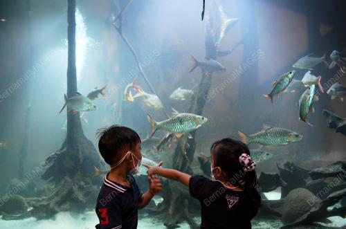 TINJAU ZOO NEGARA BERMULA PKPP