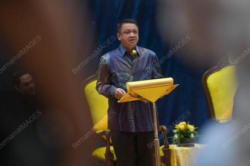 RAJA MUDA PERLIS TUANKU SYED FAIZUDDIN PUTRA JAMALULLAIL
