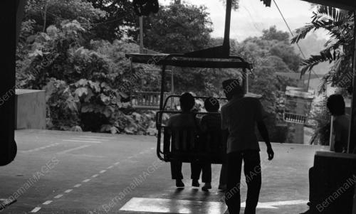 KL46_19012015_BUKIT_NANAS