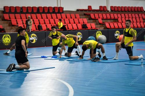 SKUAD HARIMAU MALAYA