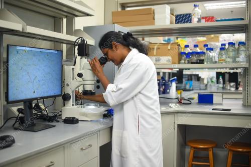 MIKROPLASTIK