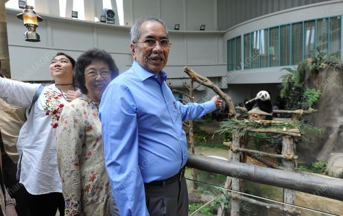 KL46_51017_PANDA_BN201710047449_05102017