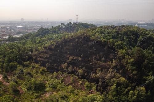 KEBAKARAN HUTAN TAMAN SERI TIMAH, BALAKONG