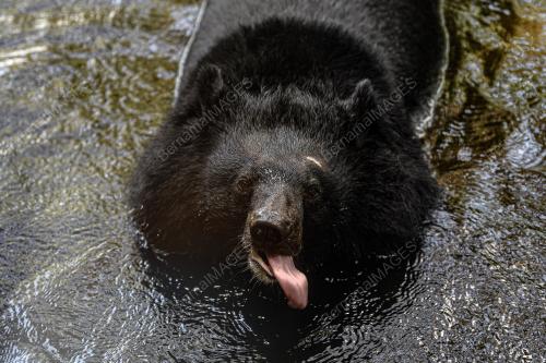 TINJAUAN ZOO NEGARA