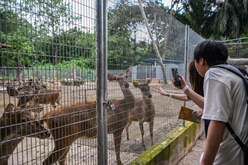 ZOO NEGARA