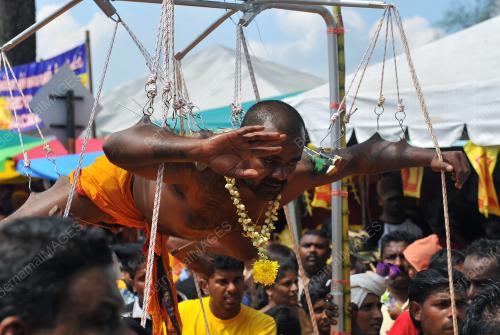 KL48_07022012_THAIPUSAM