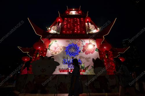 TINJAUAN TAHUN BARU CINA