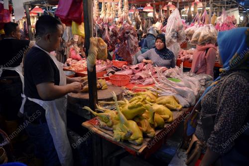 KL48_13062018_DAGING