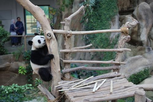IFTAR ZOO NEGARA