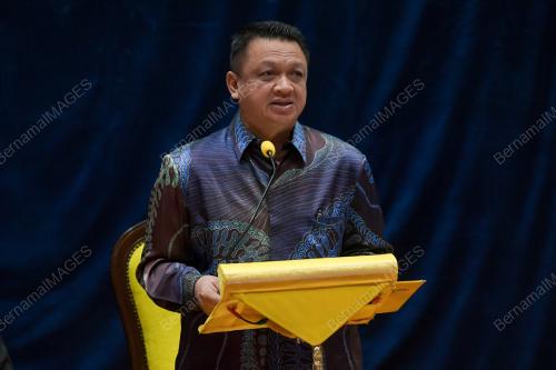 RAJA MUDA PERLIS TUANKU SYED FAIZUDDIN PUTRA JAMALULLAIL