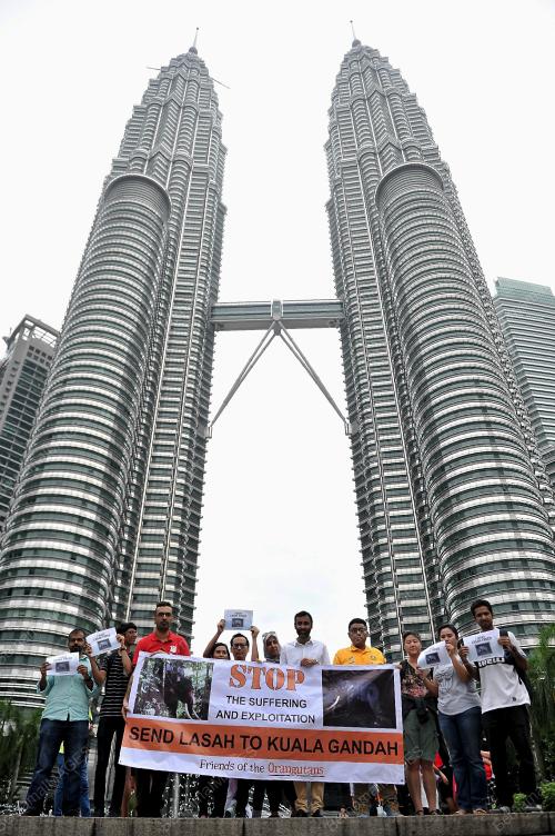 KL48_21012017_FOTO