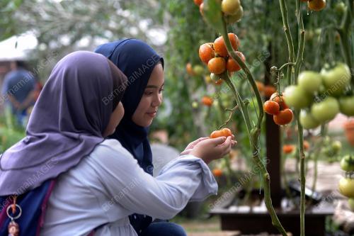 KL48_29112018_MAHA_BN201811214304