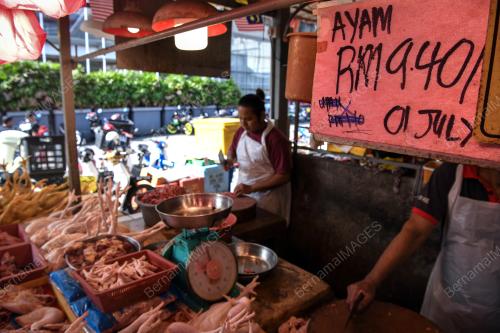 SUBSIDI AYAM TAMAT