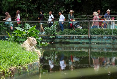 ZOO NEGARA