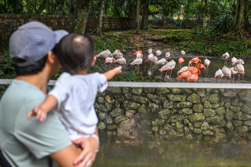 ZOO NEGARA