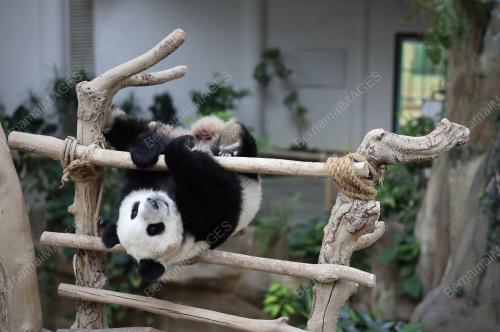IFTAR ZOO NEGARA