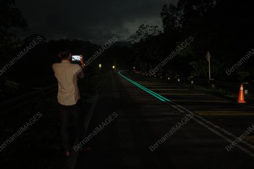 'GLOW IN THE DARK"