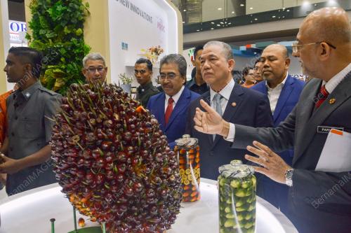 DATUK SERI FADILLAH YUSOF