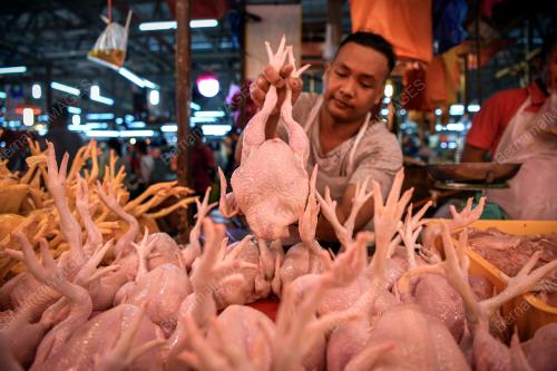 SUBSIDI AYAM TAMAT