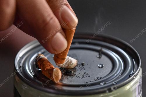 ROKOK