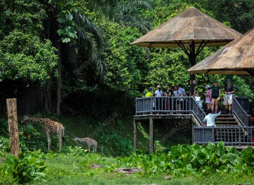 ZOO NEGARA