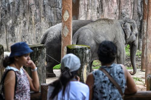 ZOO NEGARA