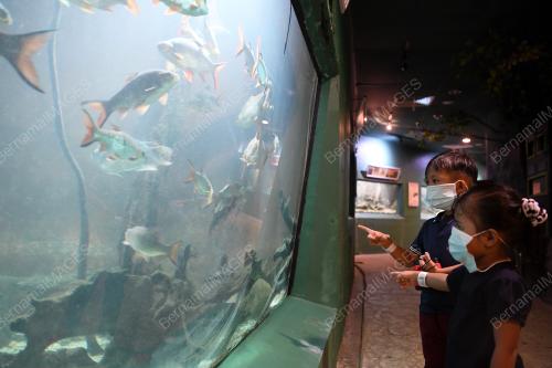 TINJAU ZOO NEGARA BERMULA PKPP
