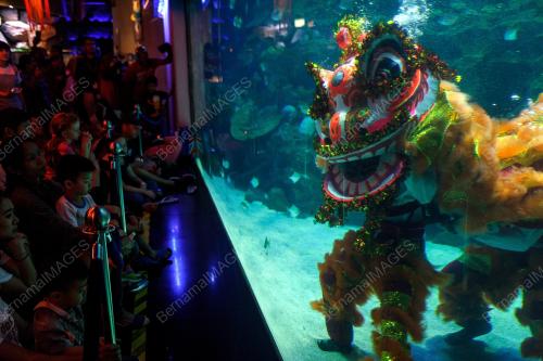 KL50_18022011_AQUARIA