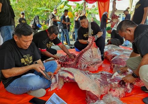 PROGRAM REWANG RAYA