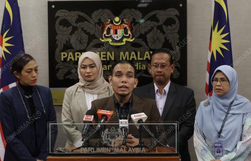 SYAHREDZAN JOHAN