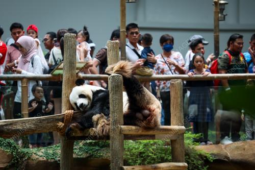 ZOO NEGARA