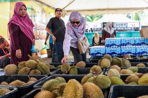 DURIAN MAEPS
