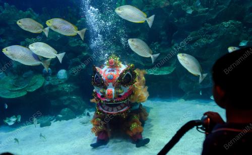 KL51_18022011_AQUARIA
