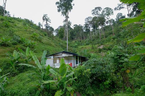 KAWASAN TEROKA DI DALAM HUTAN SIMPAN