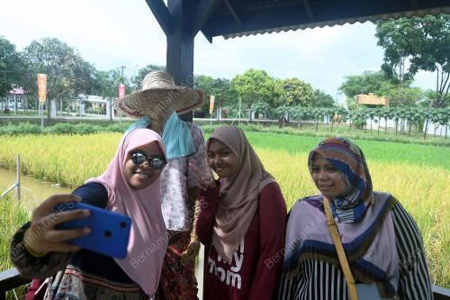 KL51_30112018_MAHA