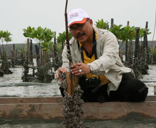 DR SHAMSUDIN IBRAHIM